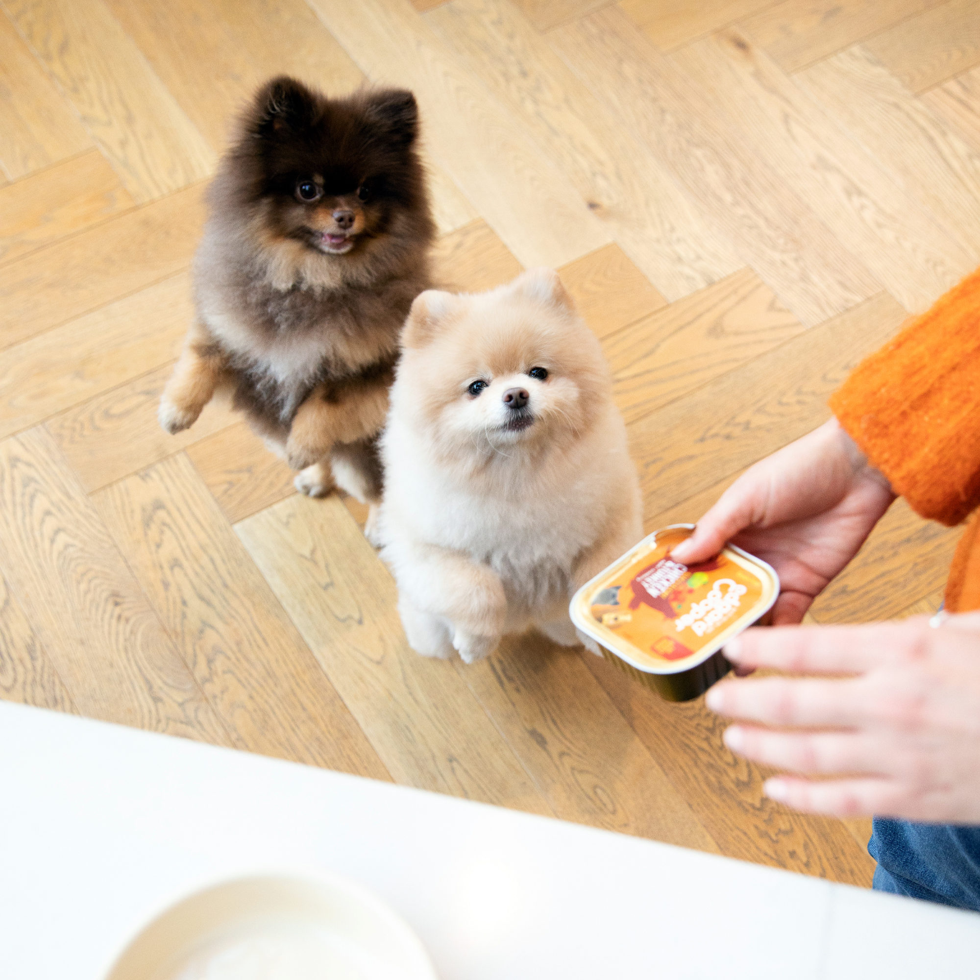 Edgard & Cooper Adult - Chicken & Turkey - 11 x 150g