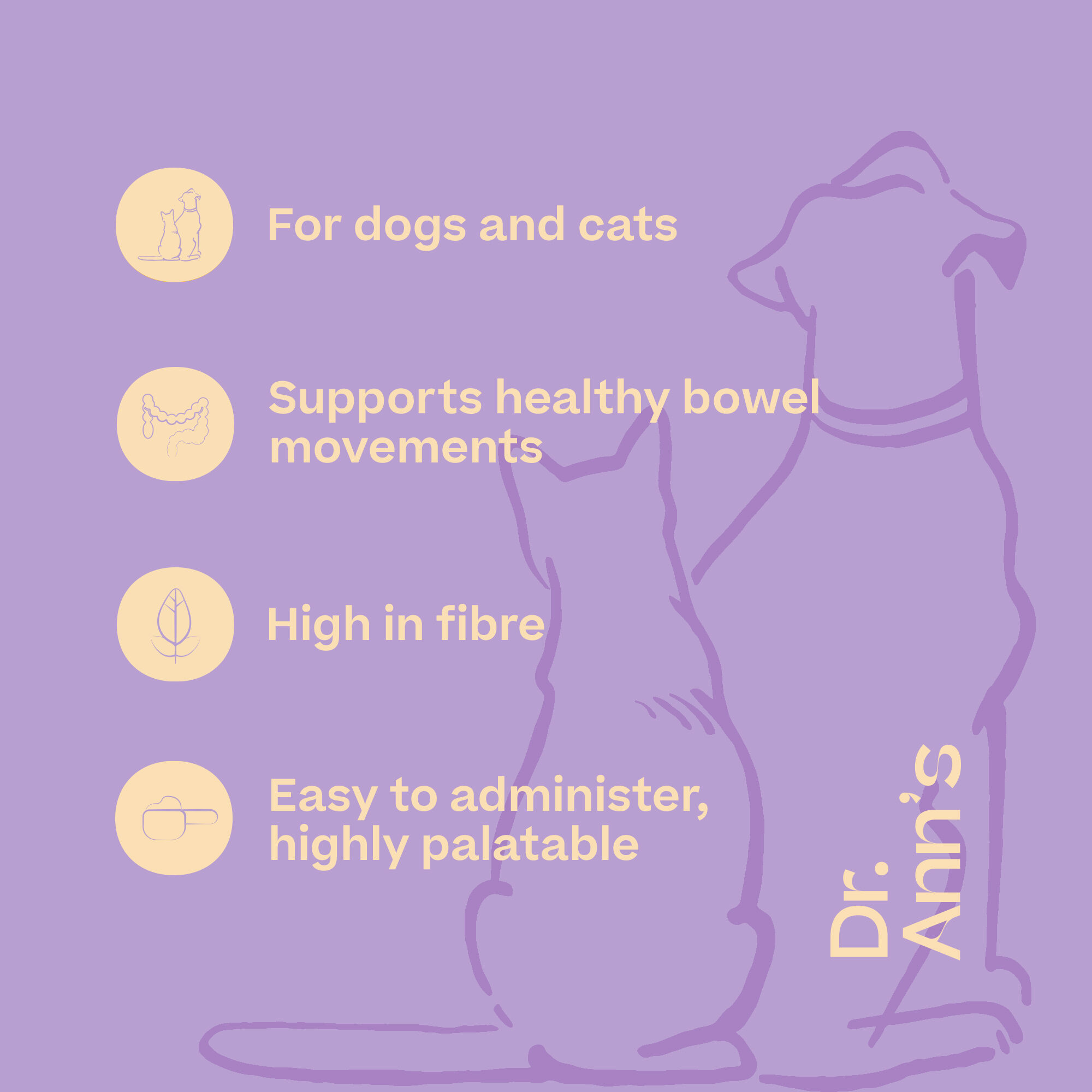 Dr. Ann's Diar Care - 20 capsules