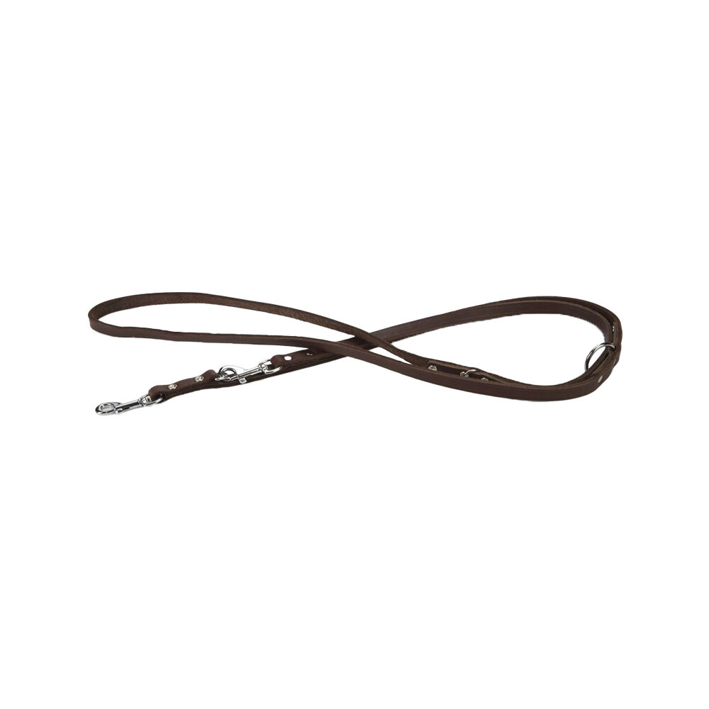 Beeztees Dog Leash Leather - Brown - 200 x 18cm