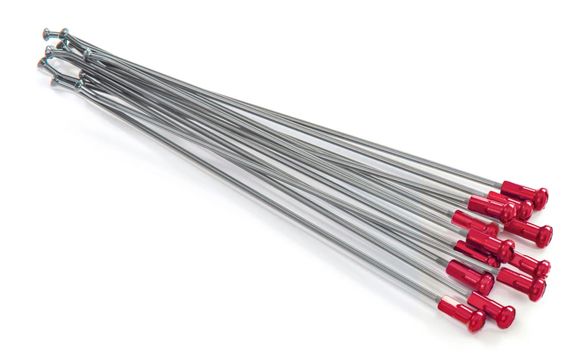 Rayon KITE 02110144 UniverselRef : KITE00170A / 02110144