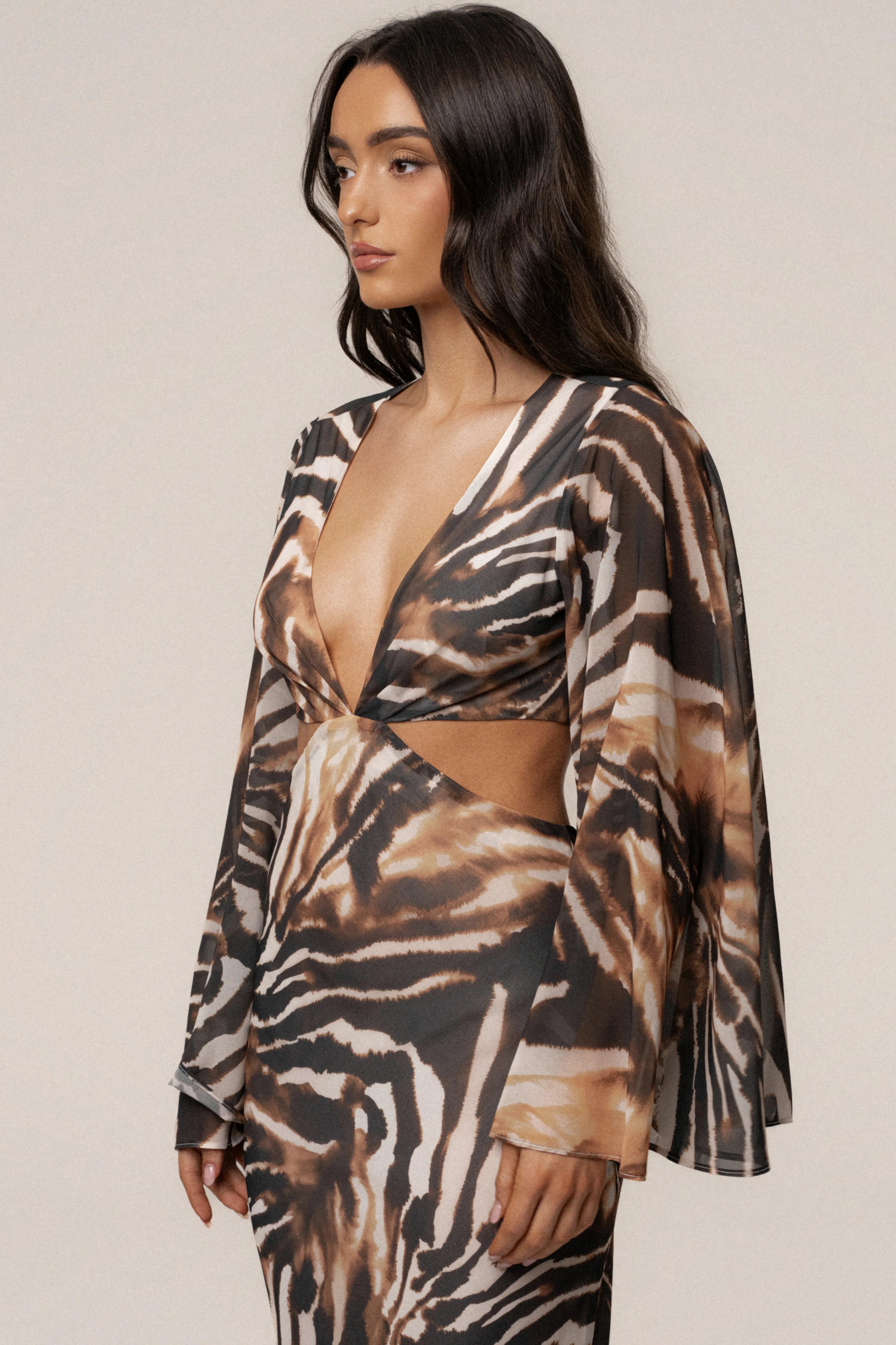 Brown Zebra Instincts Print Maxi Dress
