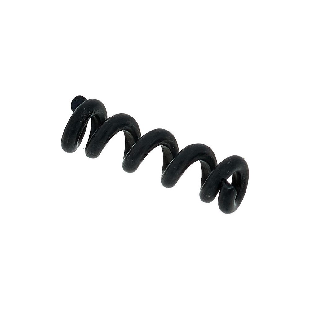 Fender Tremolo Bar Springs – Thomann Ireland