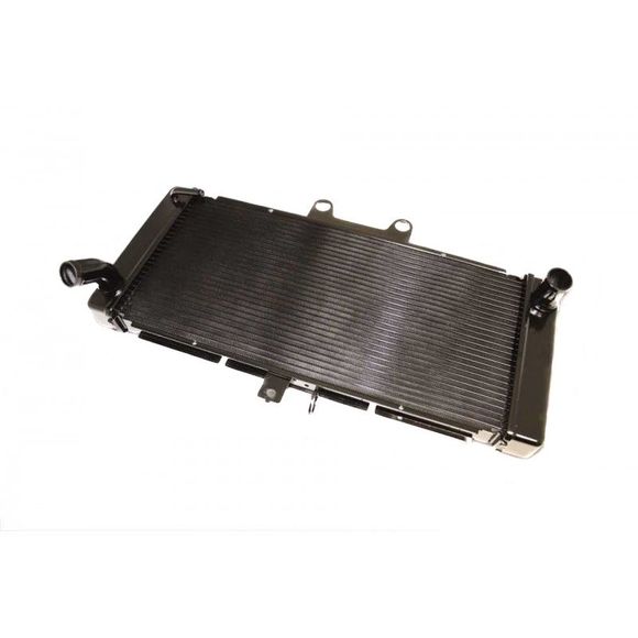 Radiateur Brazoline A EAU ADAPTABLERef : 56002