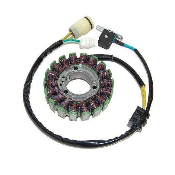Stator d'allumage Electrosport Ref : ELS00300A / 1078106