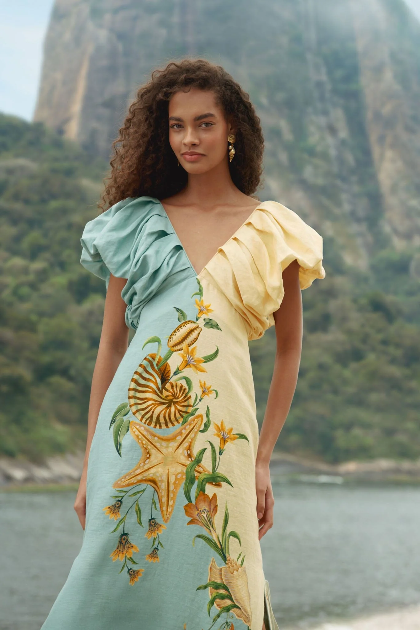 Bicolor Marine Garden Puff Sleeve Midi Dress