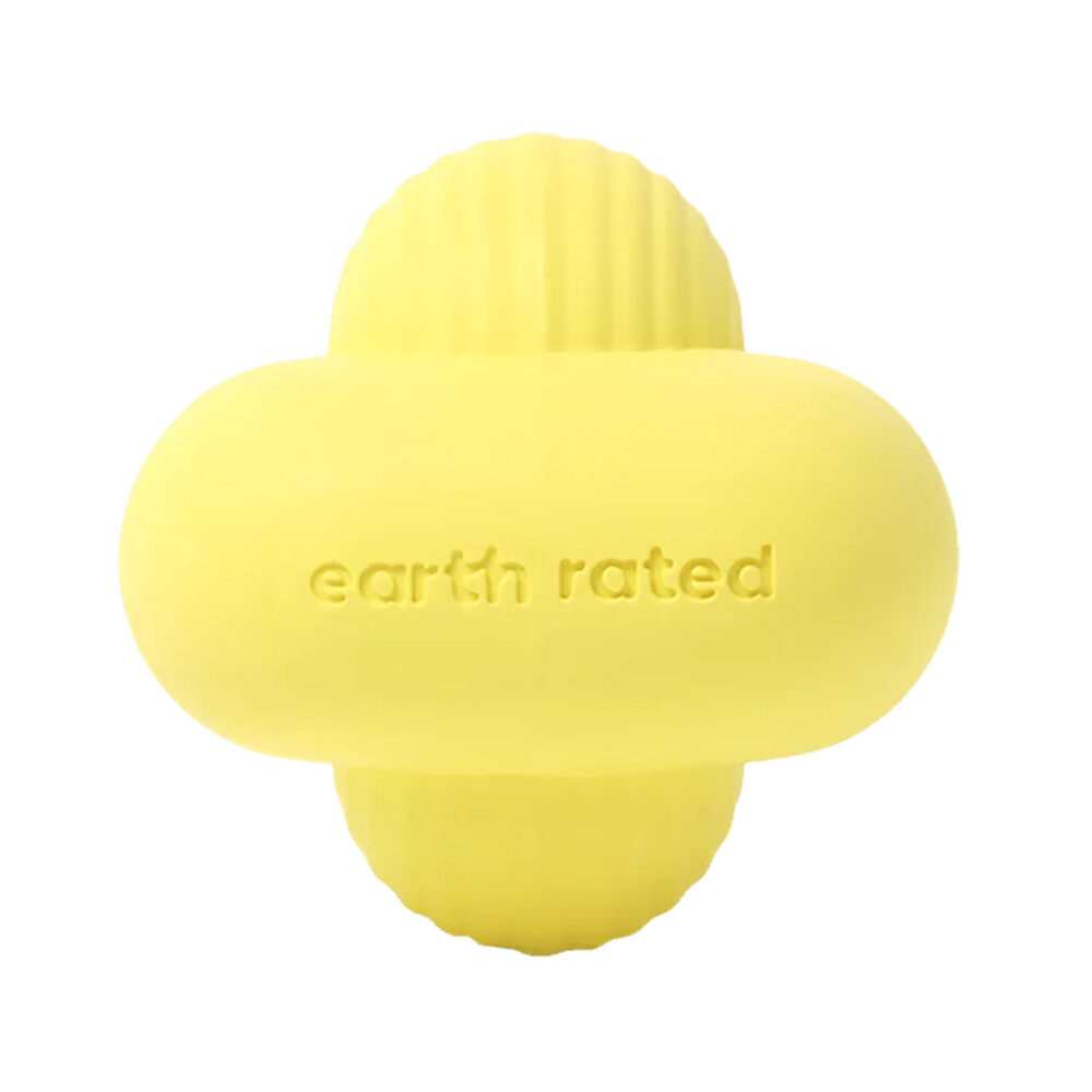 Earth Rated Fetch Toy - Small