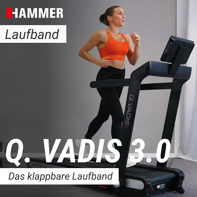 Treadmill Q. VADIS 3.0