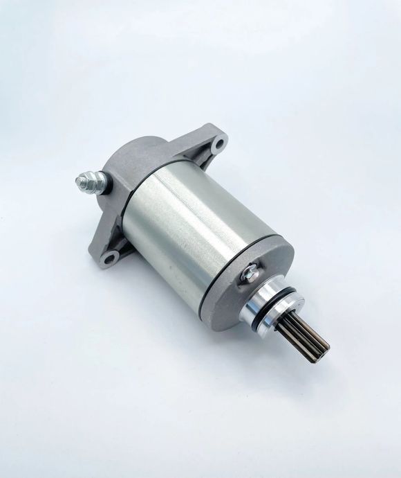 Starter Rick's Motosport Electric EngineRef: Rick00423A / 21101340