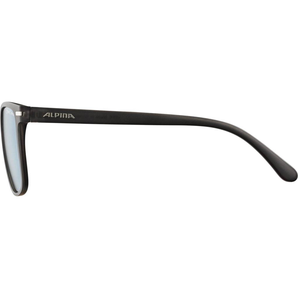 Alpina Yefe Glasses - grey transparent matt/gold mirror