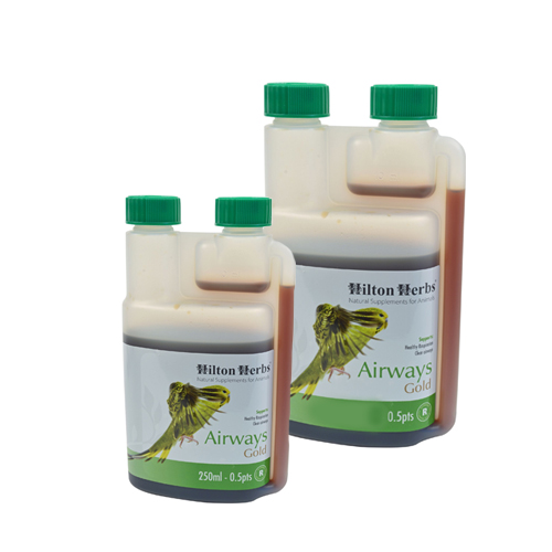 Hilton Herbs Airways Gold for Birds - 250ml