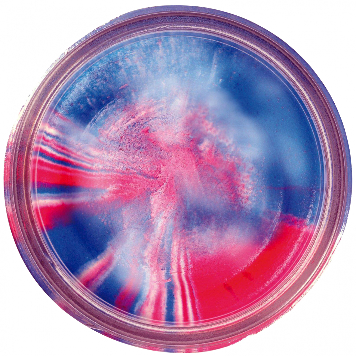 Berkley PowerBait® Glitter Trout Dough (Captain America Glitter)