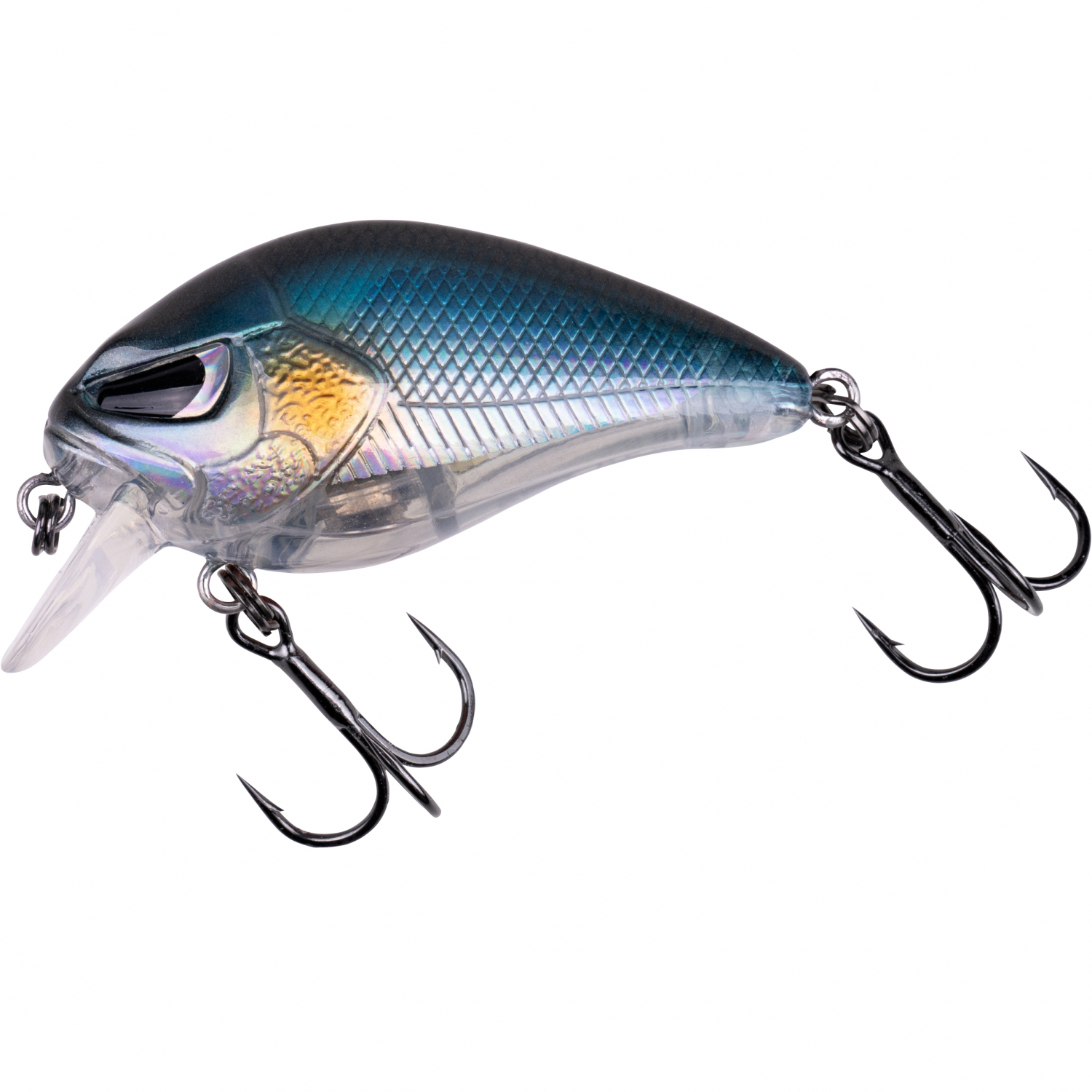 Zeck Danny (Baitfish)