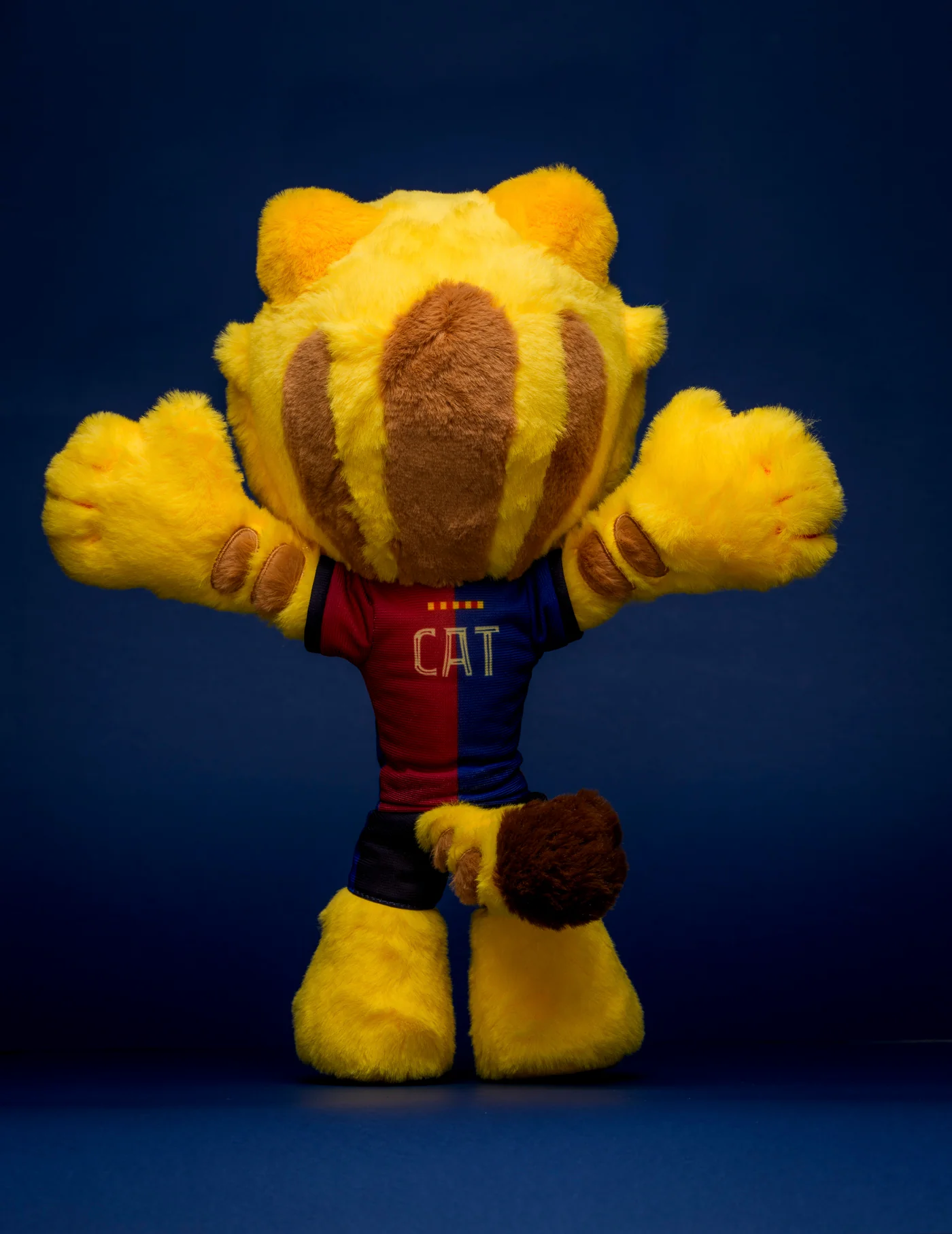 Teddy Cat Official Fc Barcelona