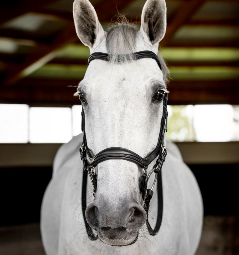 Horseware Micklem® Deluxe Competition