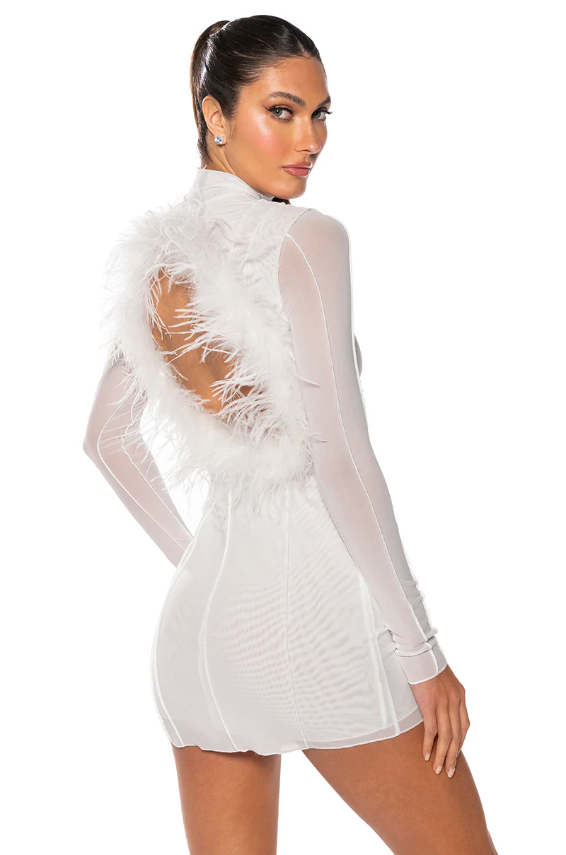 Rosalie Open Back Fur Trim Mesh Mini Dress