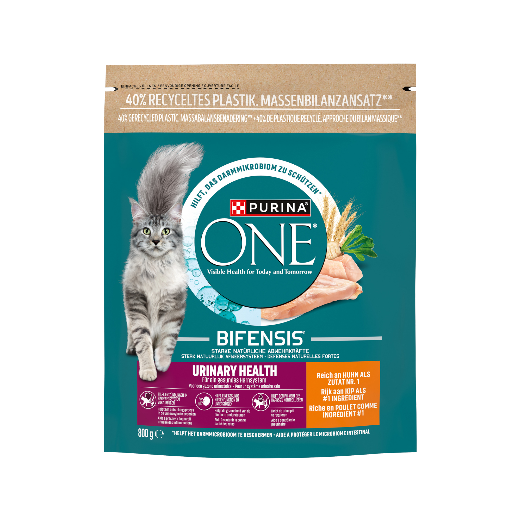 Purina ONE Urinary Health - Chicken & Wheat - 800 g