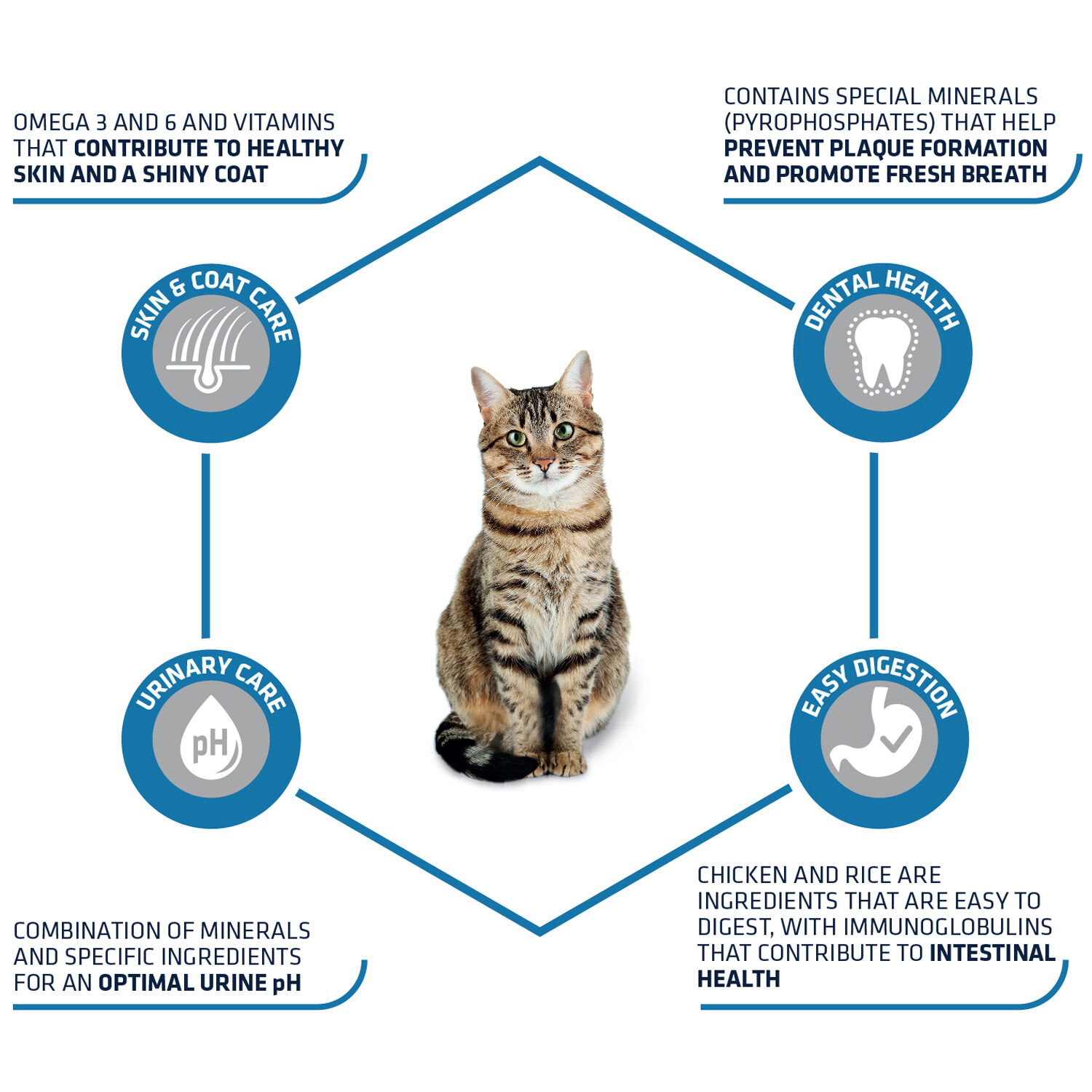 Affinity Advance Adult - Chicken and Rice - 3 kg