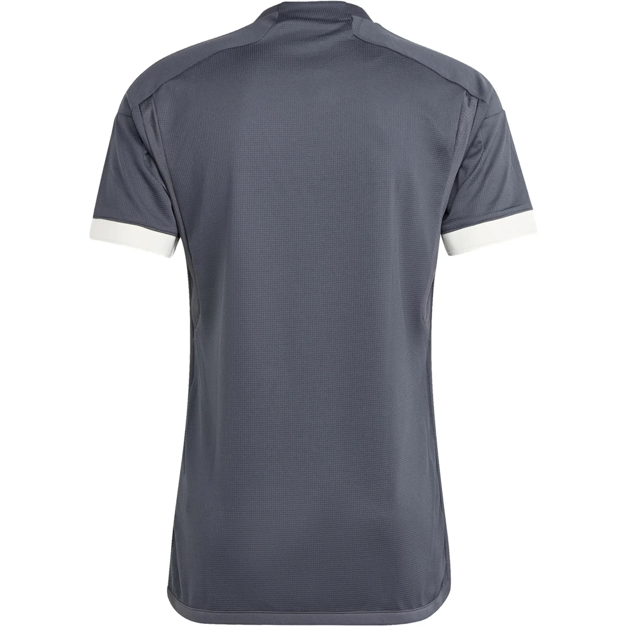 Juventus Third Jersey 23/24 (Carbon/Cream White)