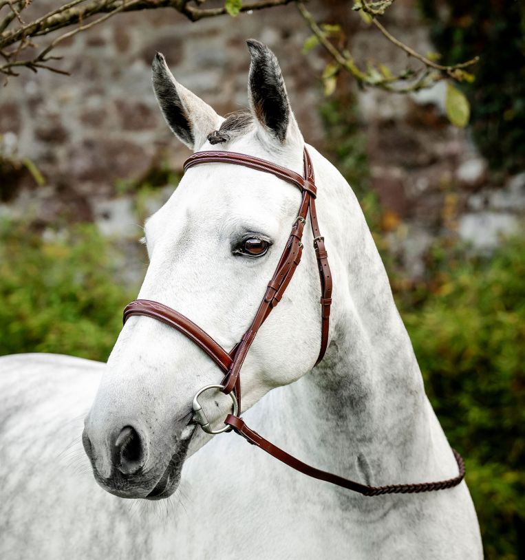 Horseware® Hunter Cavesson Bridle with Reins