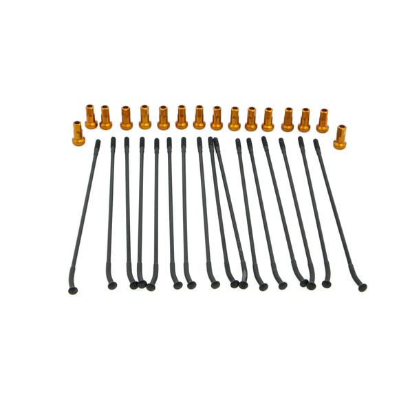 Rayon KITE 02110243 UniverselRef : KITE00176A / 02110243