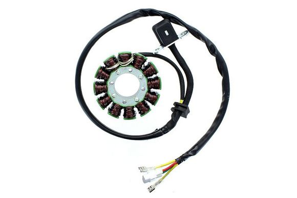 Electrosport Ignition Stator Ref: Els00307A / 1140057