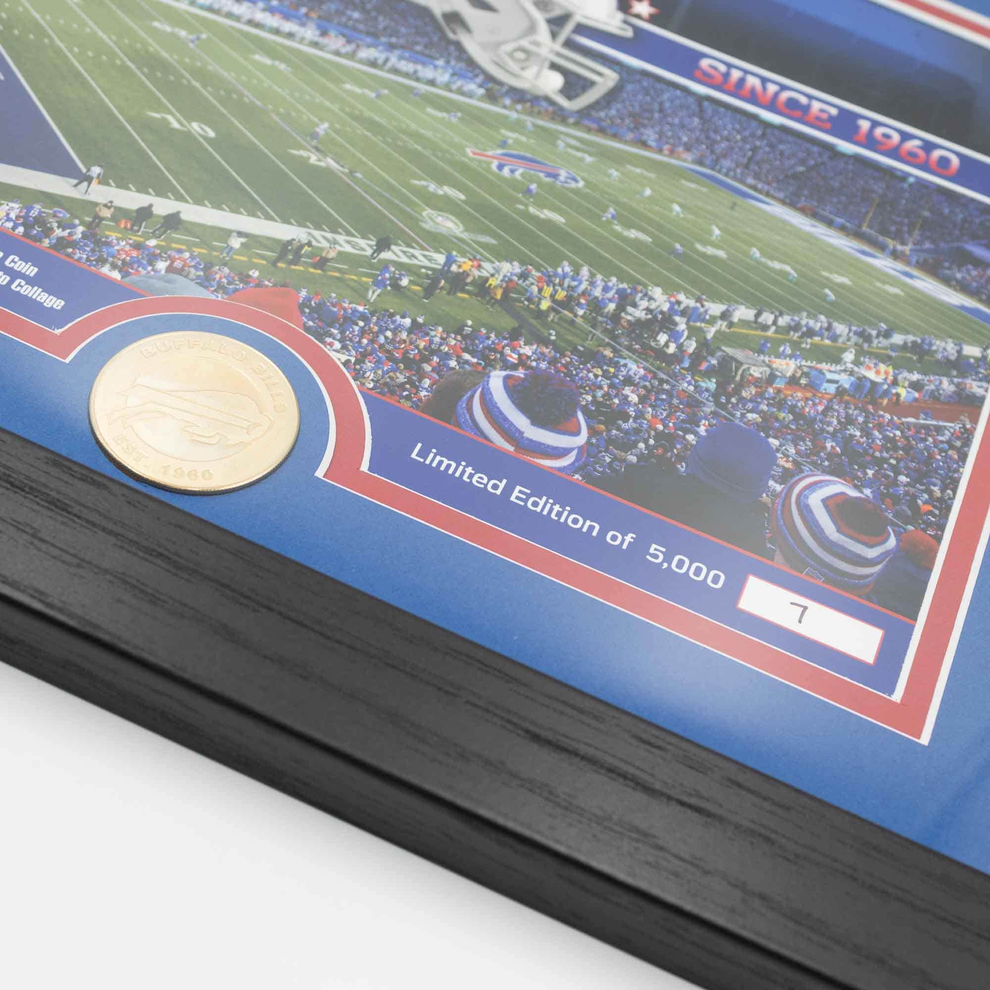Buffalo Bills Team Stadium Bronze Coin Framed NFL Photo