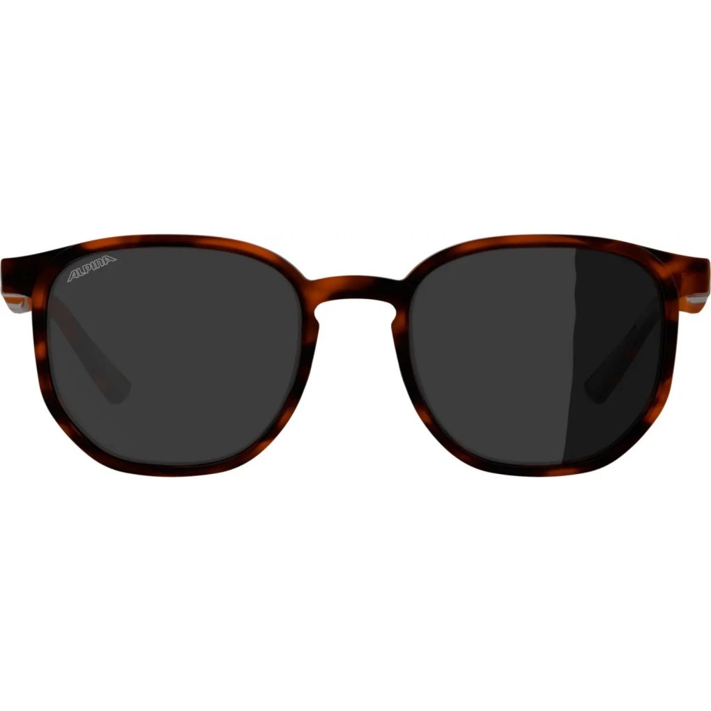 Alpina Dimont Glasses - havana matt/black