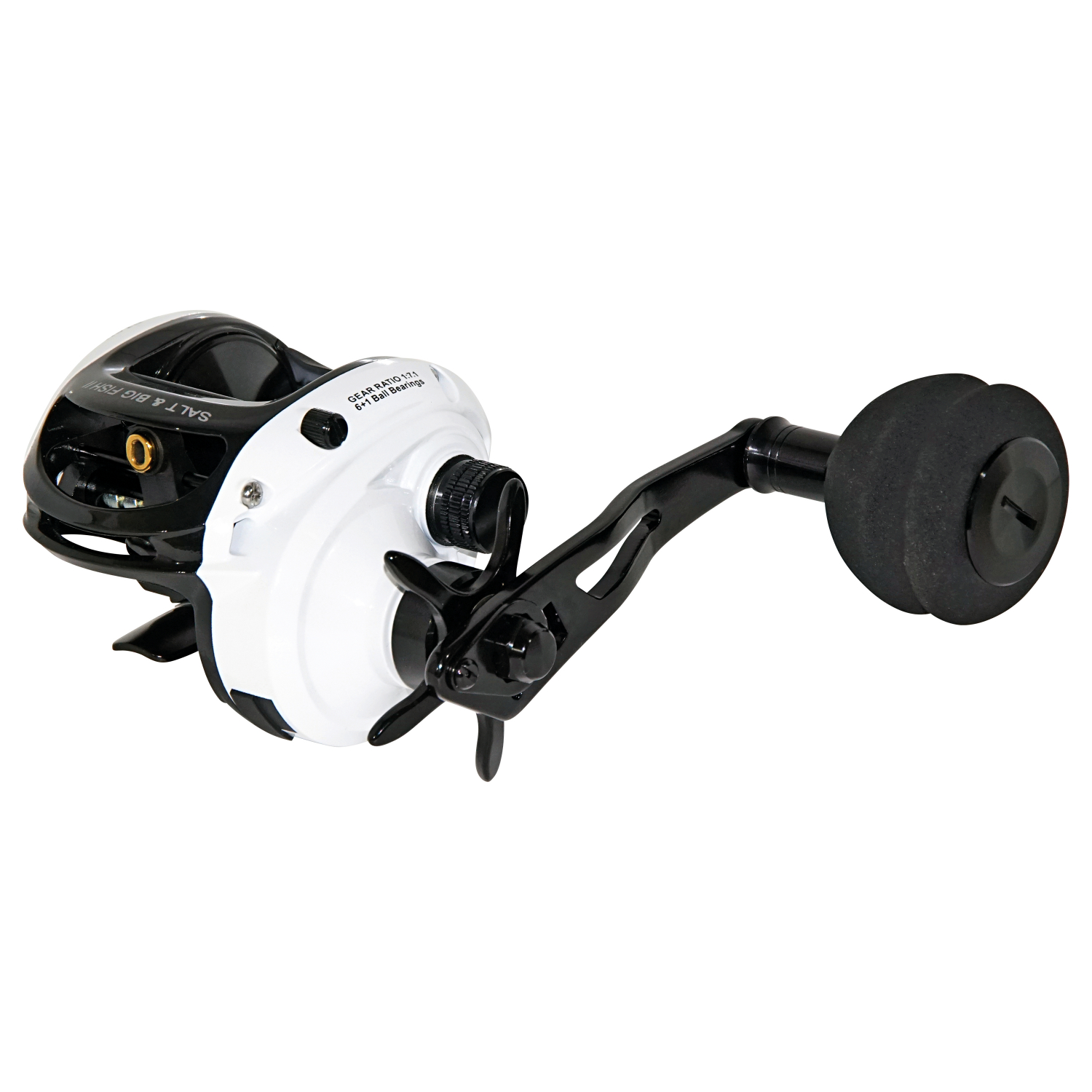 WFT Baitcast Reel Salt & Big Fish II