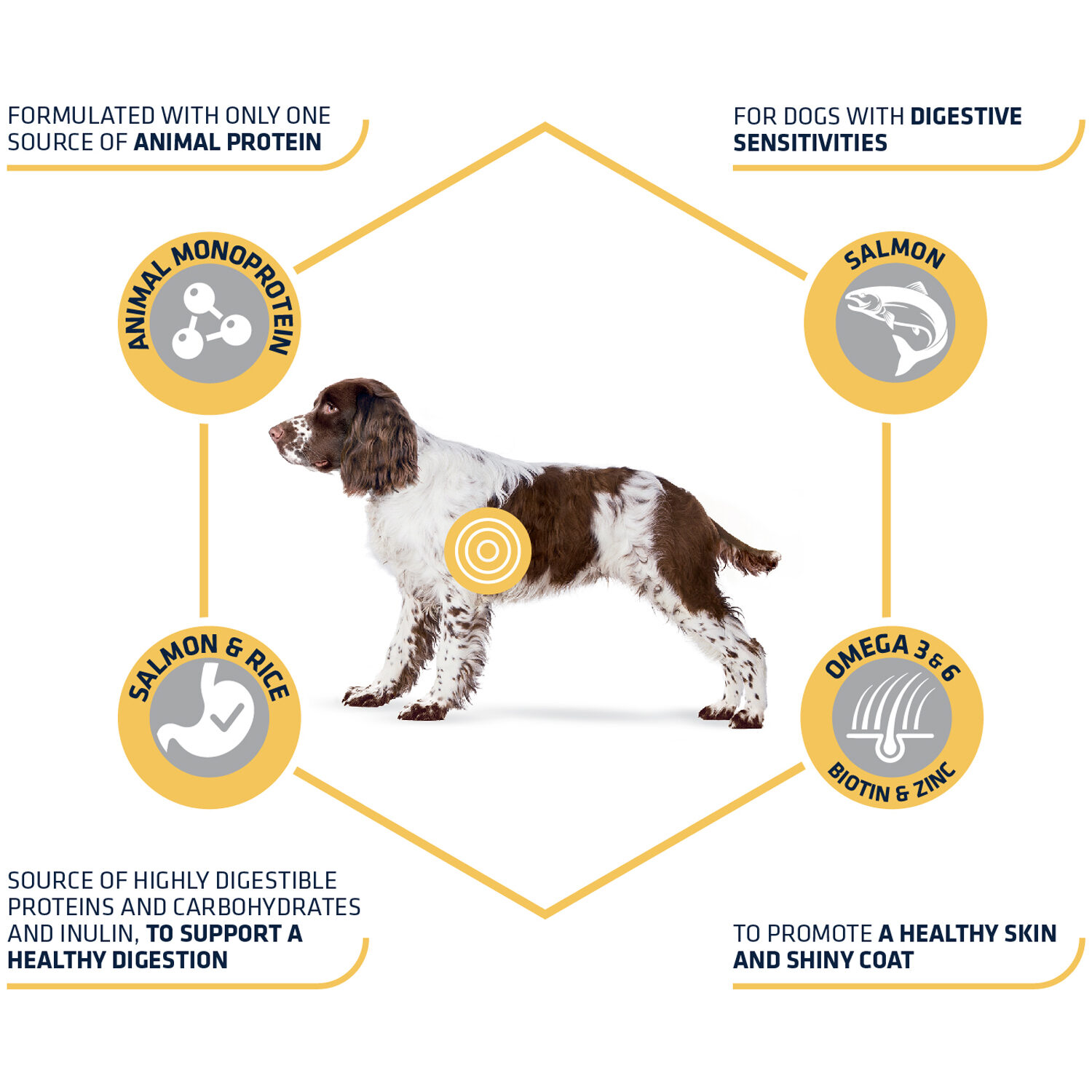 Affinity Advance Sensitive Medium/Maxi - Salmon and Rice - Dog - 12 kg