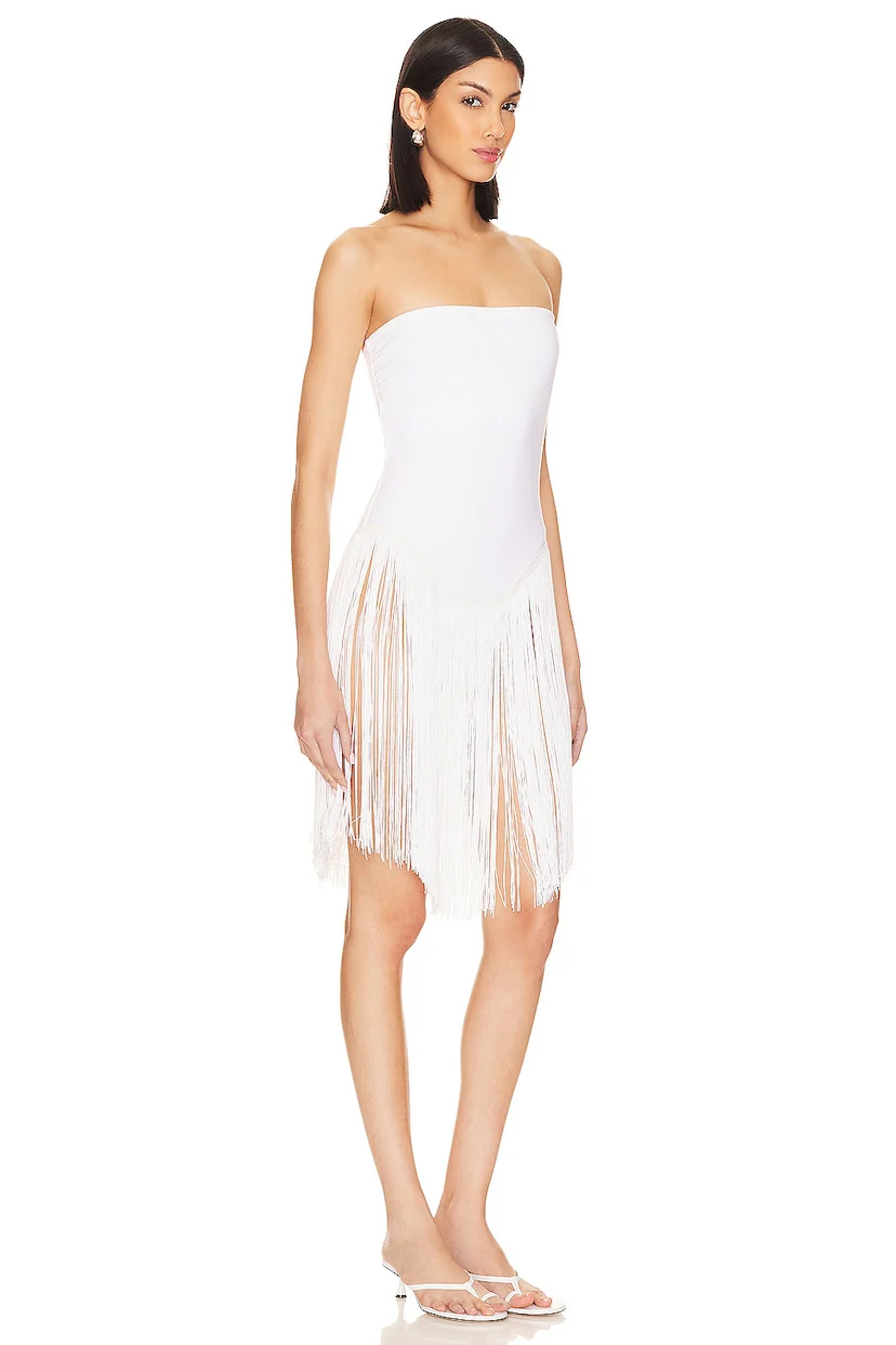 x REVOLVE Fringe Dress