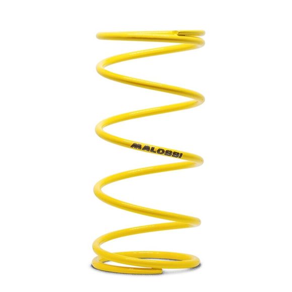 Malossi super-reinforced thrust springRef: Mal00399A / 1007956