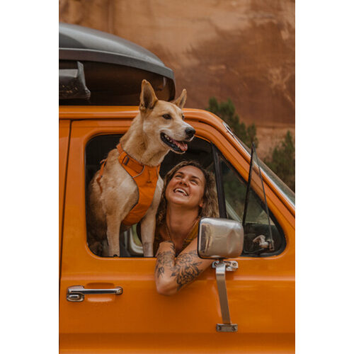 Ruffwear Front Range Harness - S - Basalt Gray