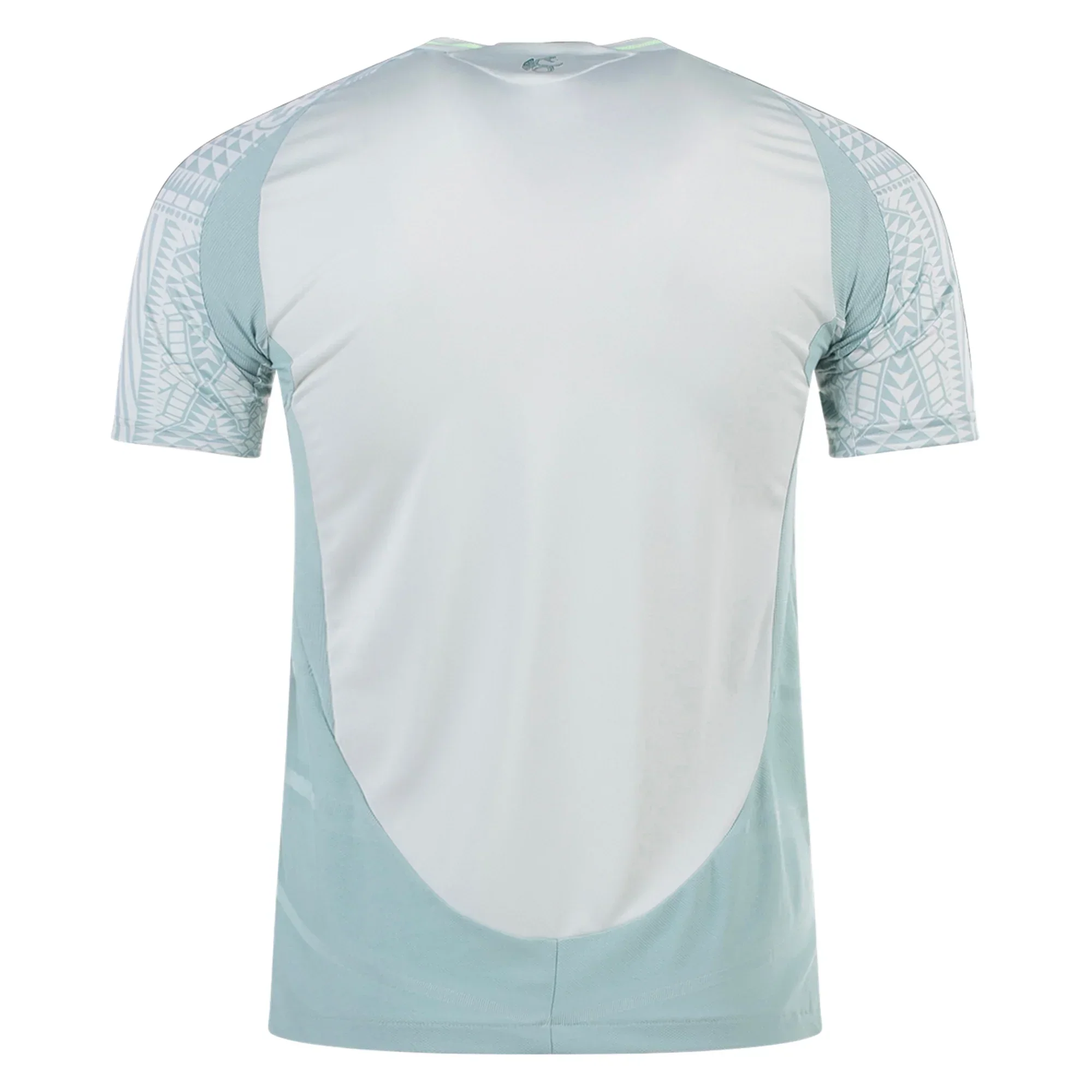 Mens Mexico Authentic Away Jersey 24/25 (Linen Green)