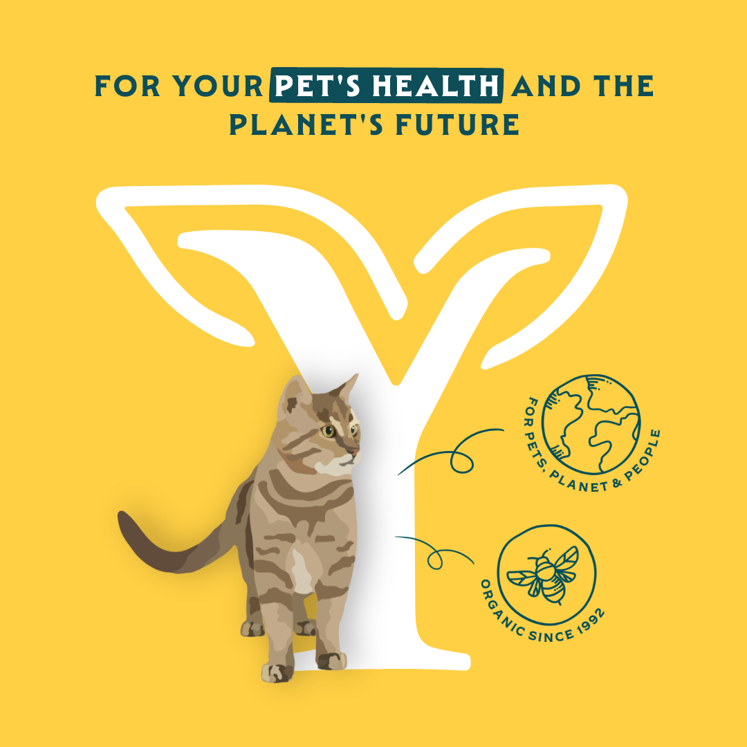 Yarrah - Dry cat food with Chicken Bio - 2,4kg