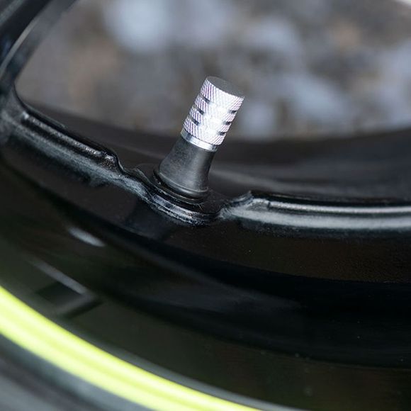 Oxford Valve Universal Caps - GrayRef: OD0183