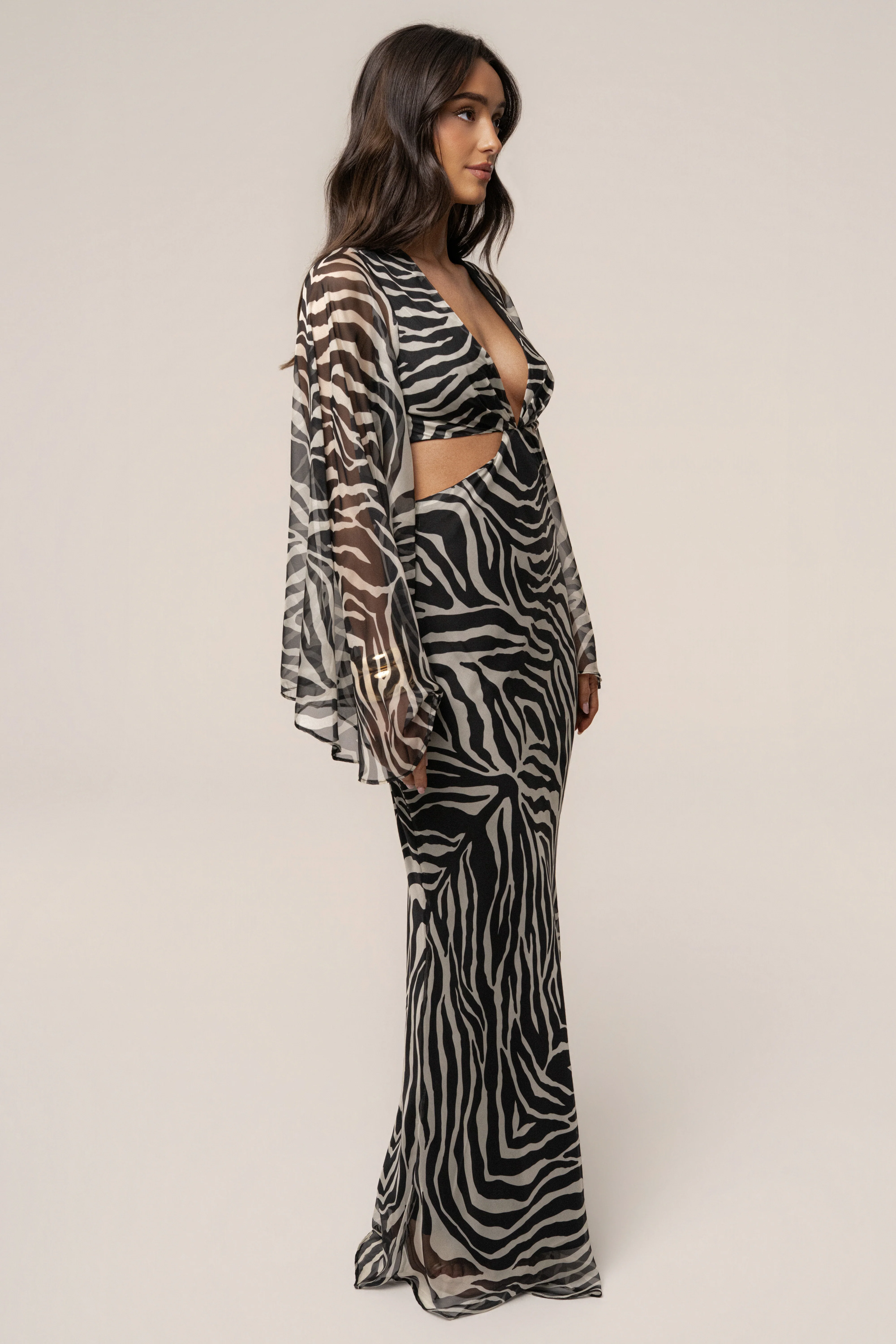 Black Zebra Instincts Print Maxi Dress