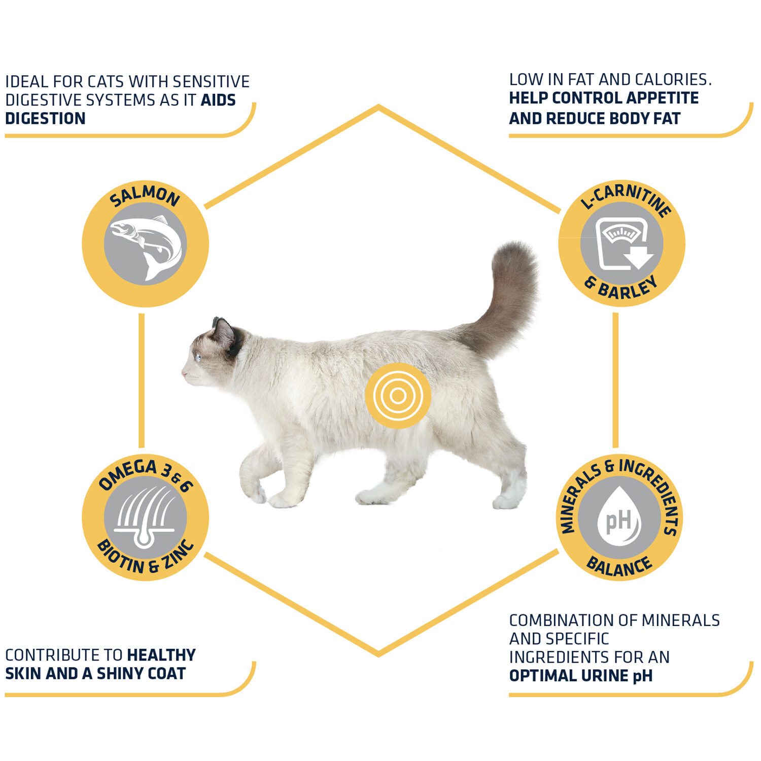 Affinity Advance Sterilized Salmon Sensitive - Cat - 3 kg