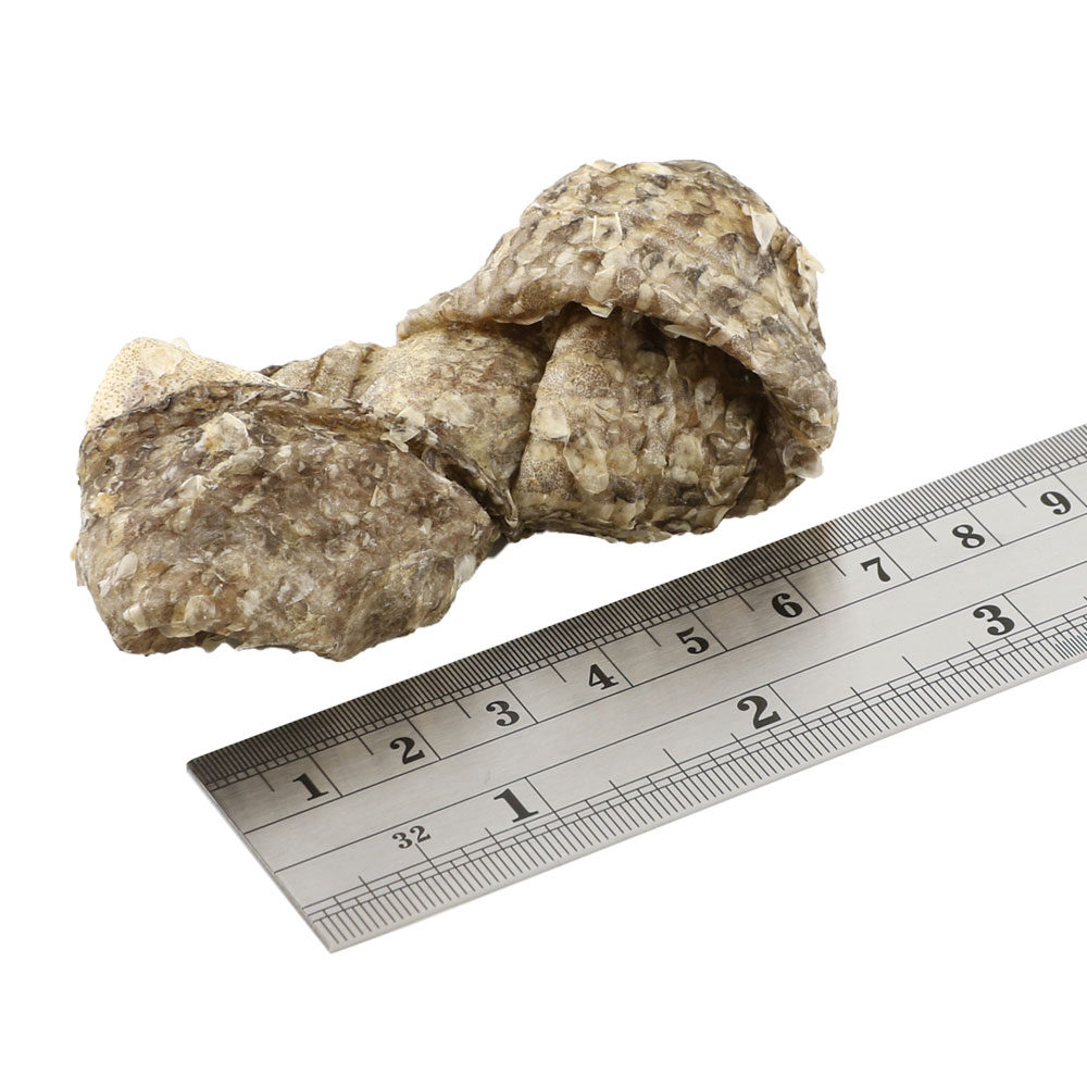 Fish4Dogs Dental - Sea Jerky Fish Knots - 100 g