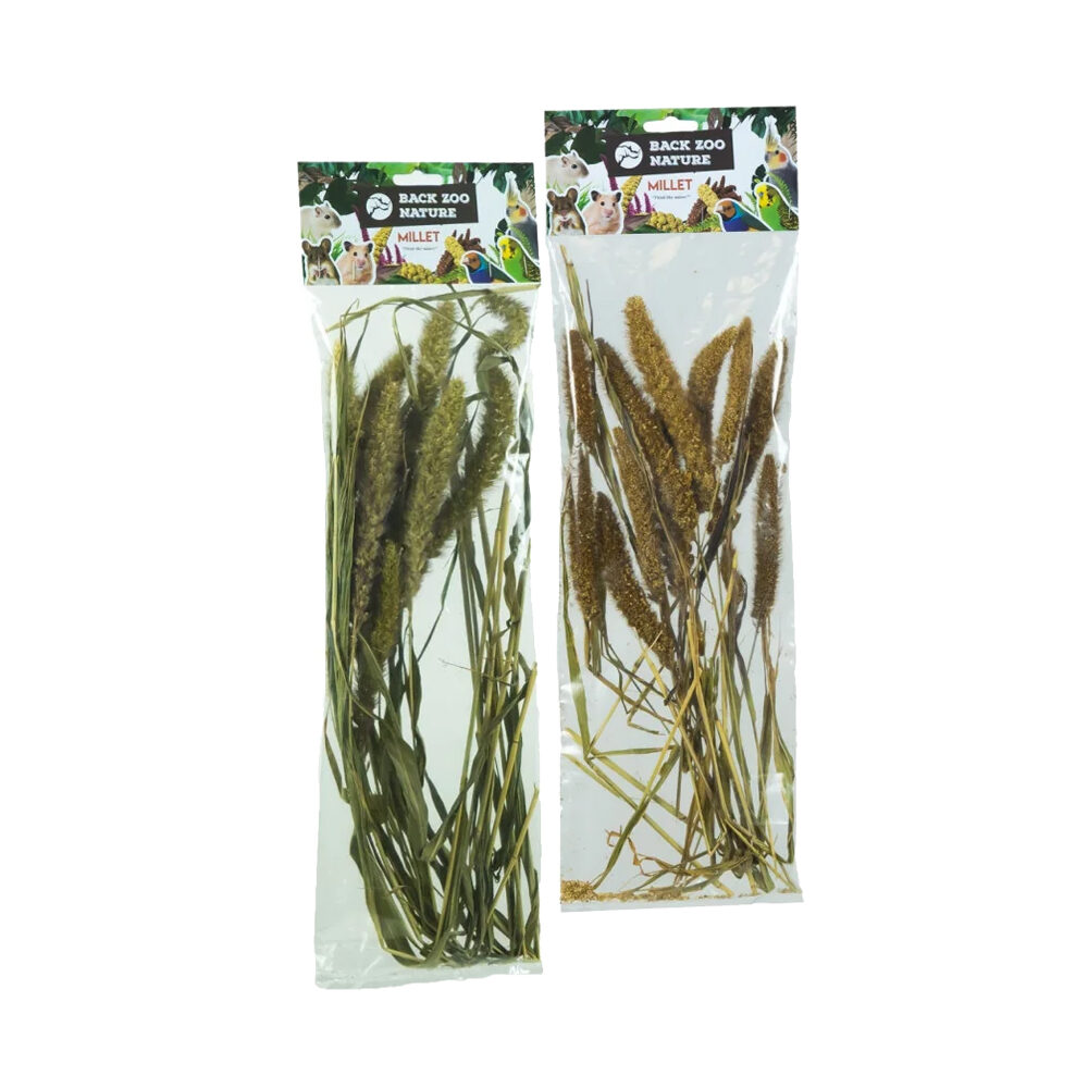 Back Zoo Nature Setaria - 30 grams
