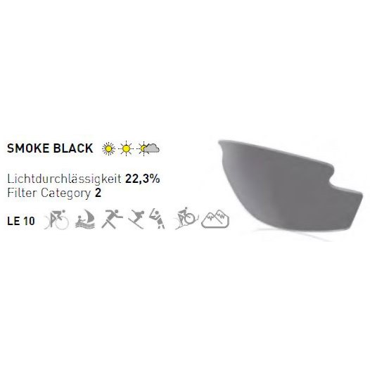 Rudy Project Rydon Glasses - Matte Black - RP Optics Smoke Black