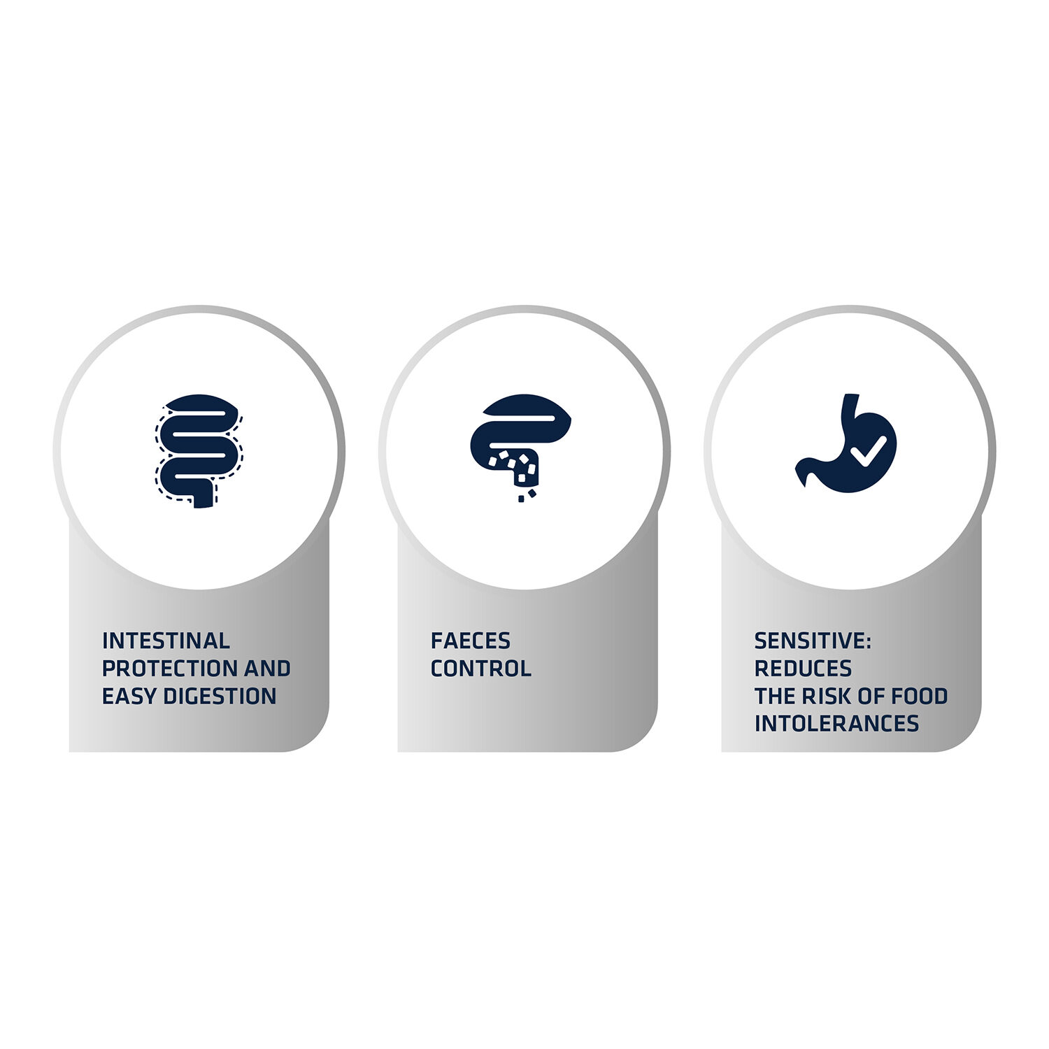 Affinity Advance Veterinary Diets Gastroenteric Sensitive Cat - 1.5 kg