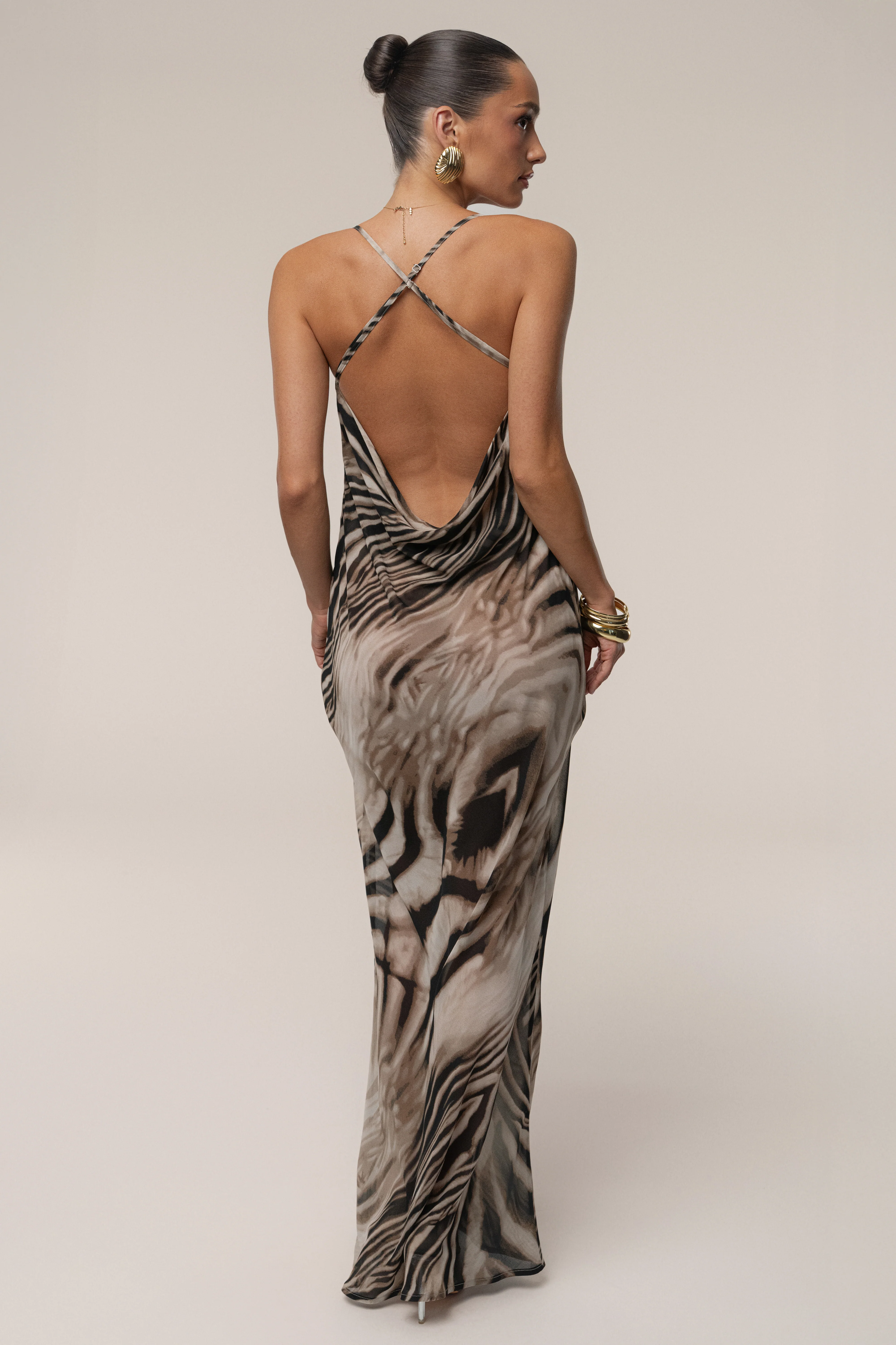 Brown Zebra Print Infinite Journey Maxi Dress