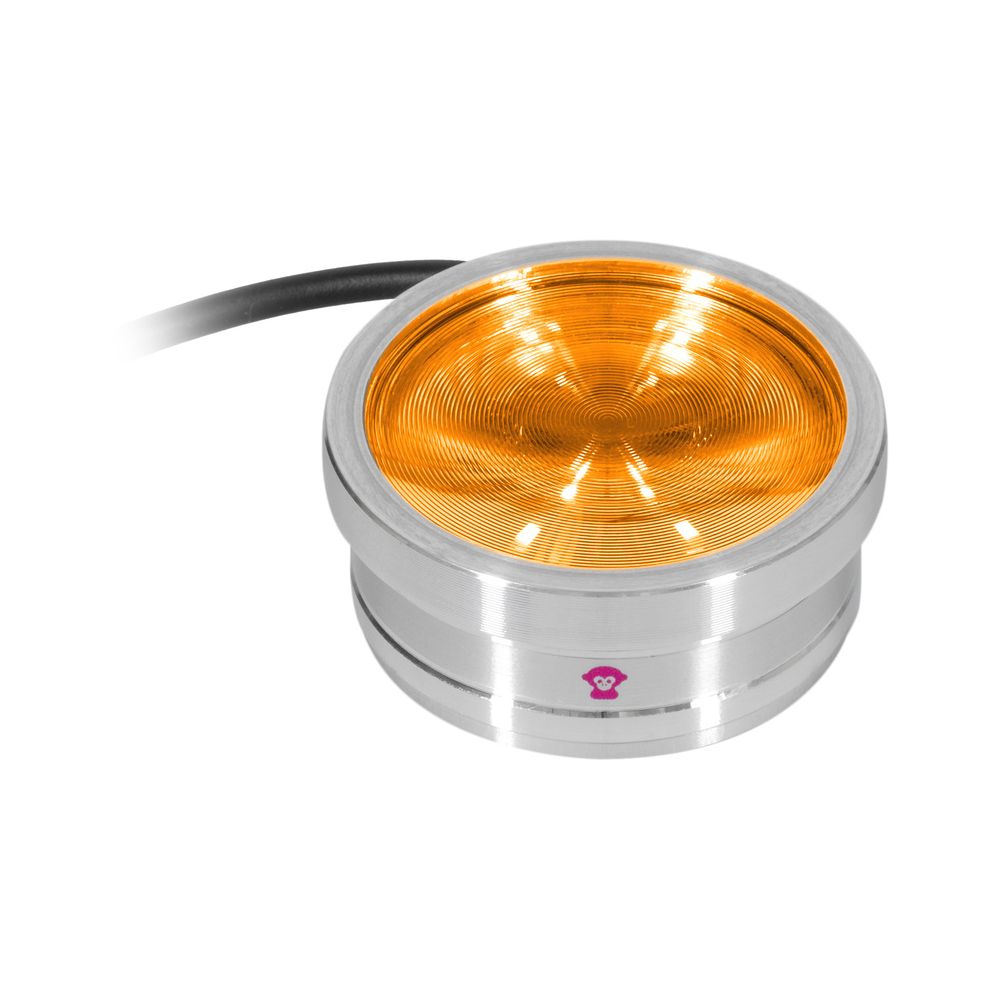 Ape Labs ApeCoin V2 IP Set of 4 – Thomann Ireland