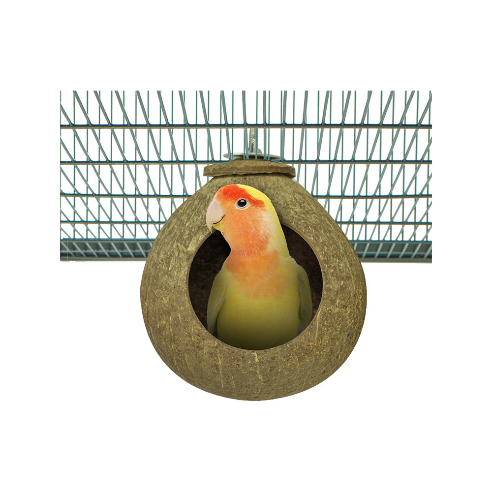 Back Zoo Nature Coconut House - 1 piece