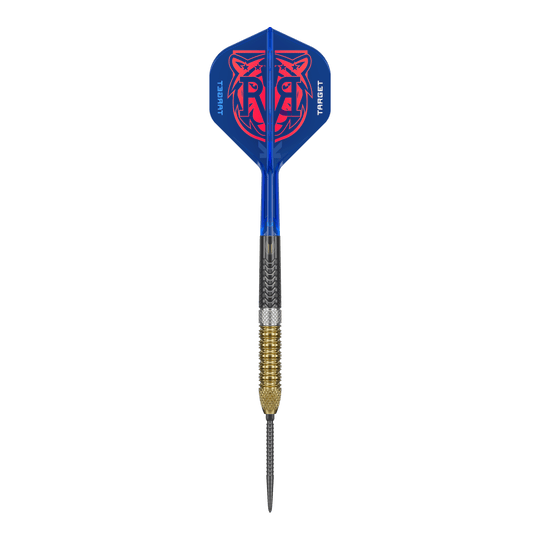 Target Raymond Van Barneveld GEN6 Swiss Point steel darts