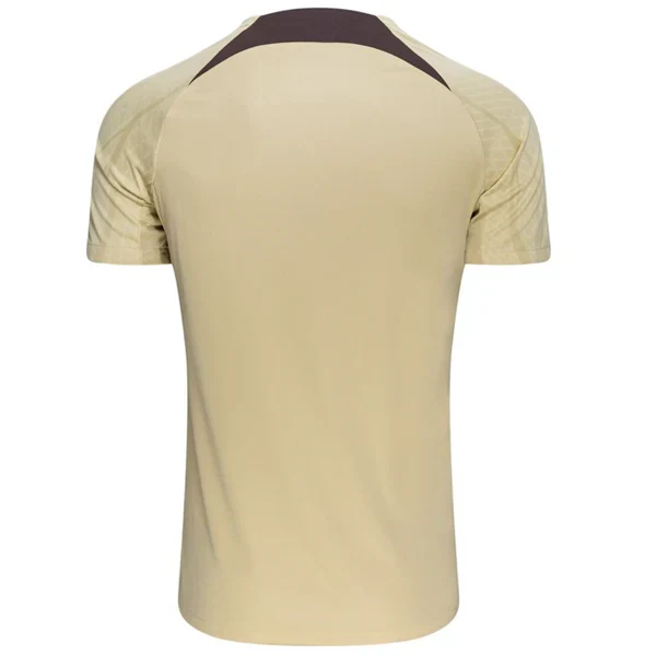 Tottenham Third Strike Training Top Jersey 23/24 (Team Gold/Ironstone)