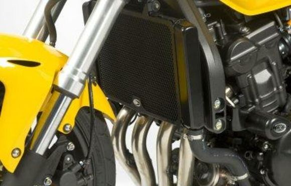 R&G Racing Aluminium Radiator GuardRef: Rgr01827A / 1069858