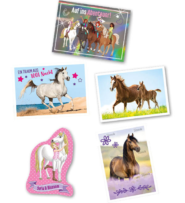 Horse Club Lieblingspferde - 5 Blisters with a total of 175 stickers