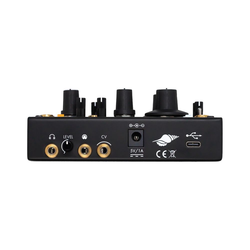 Instruo Seashell – Thomann Ireland