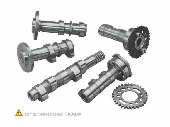 Camshaft Hotcams intake Level 1Ref: Ho00208A / 1018993
